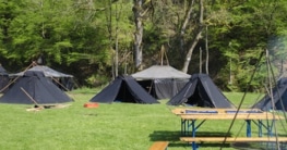 Das-ideale-Feldbett-fuers-Zeltlager